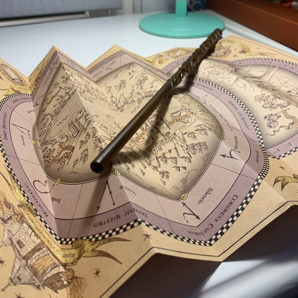 Hermione Granger Wand